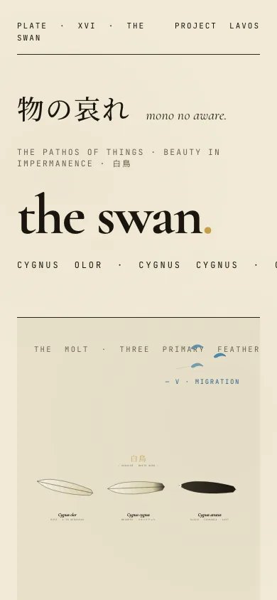 The Swan étude on a phone.