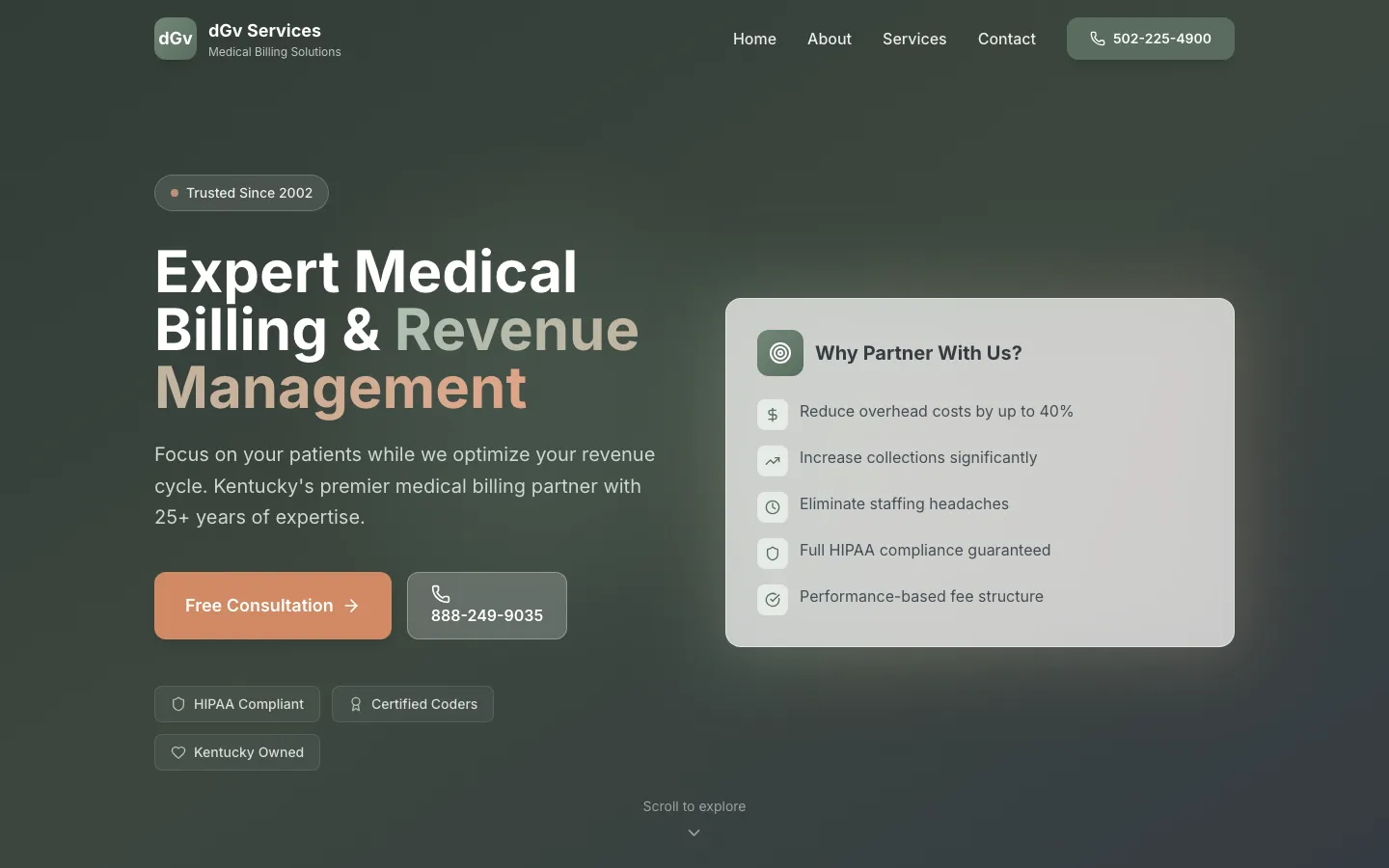 dGv Services — the shipped site on desktop.