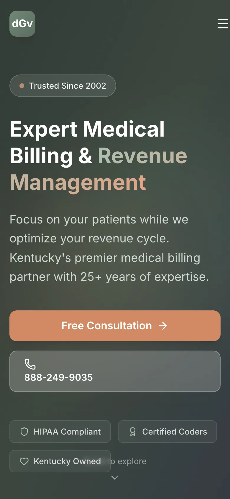 dGv Services - the same site on a phone.