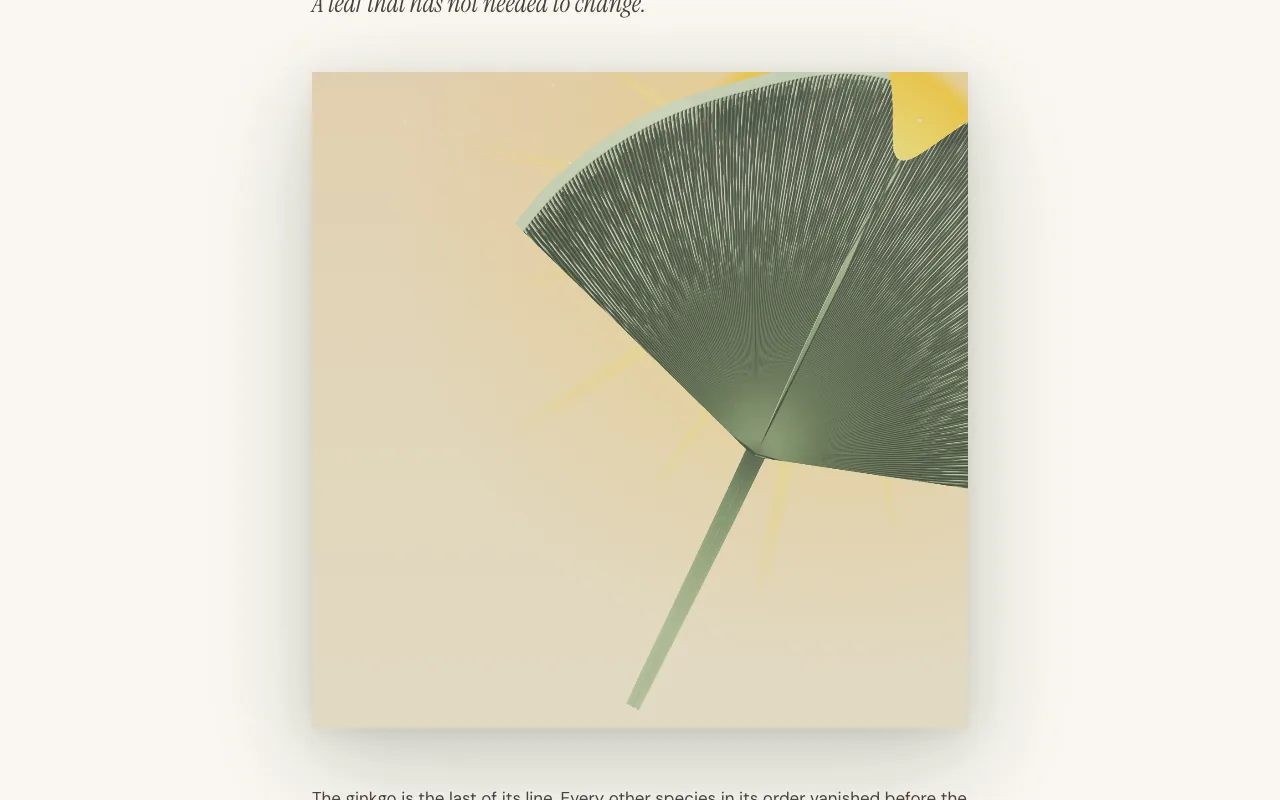 Ginkgo leaf on desktop.