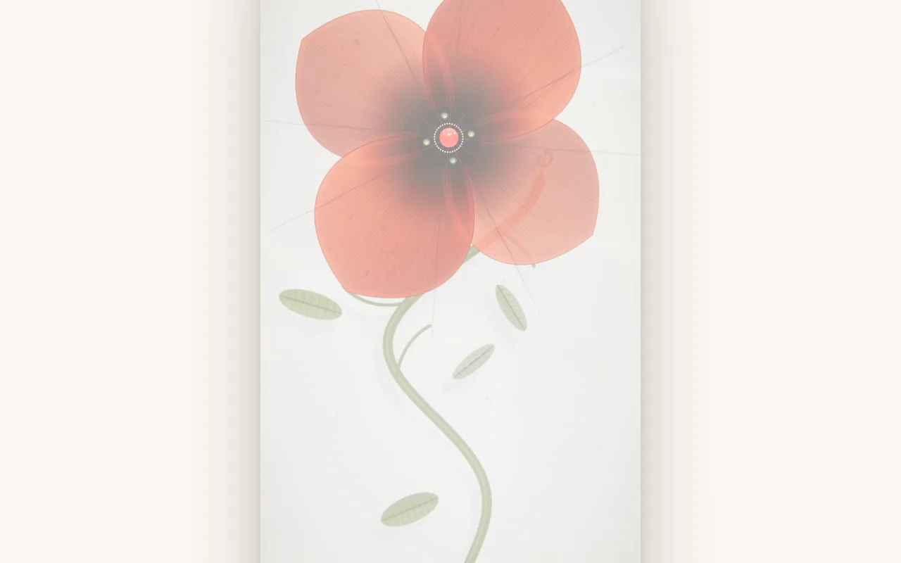 Papaver Rhoeas red poppy on desktop.