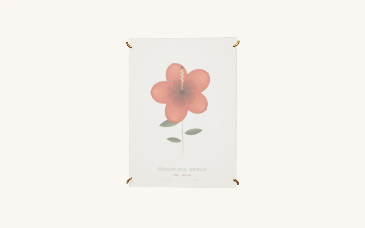 Rosa Sinensis hibiscus on desktop.