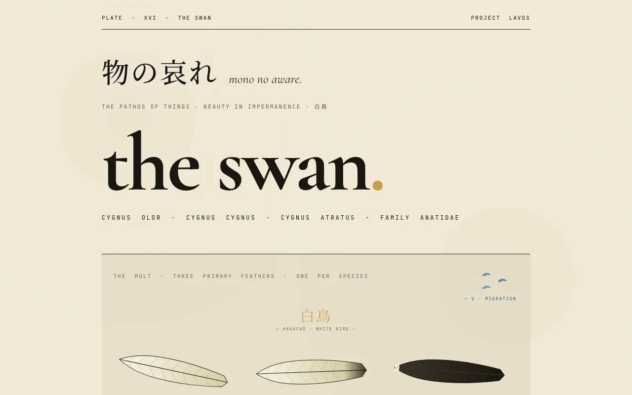 The Swan specimen on desktop.