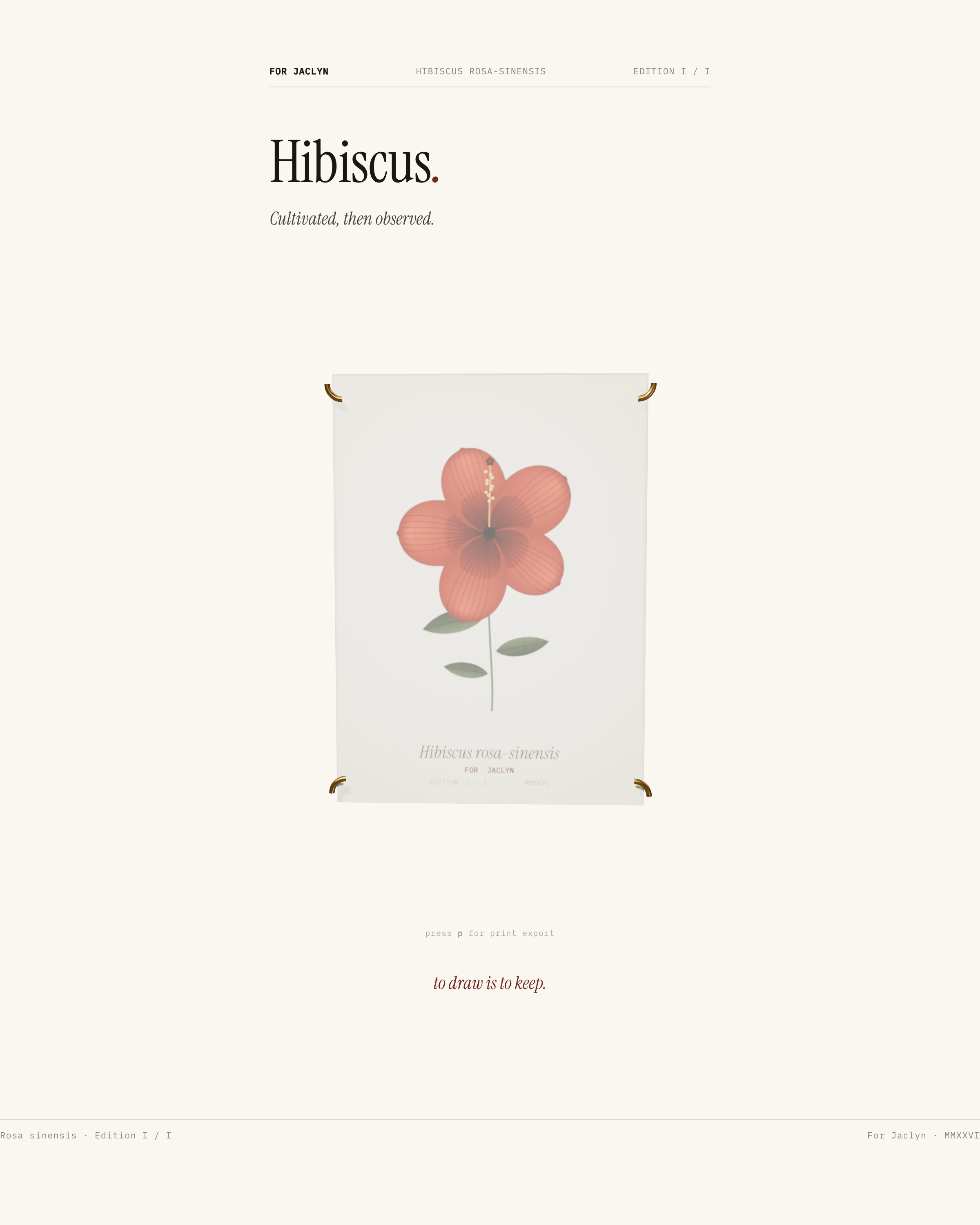 Rosa sinensis - Plate XXIV from the Project Lavos visual studies